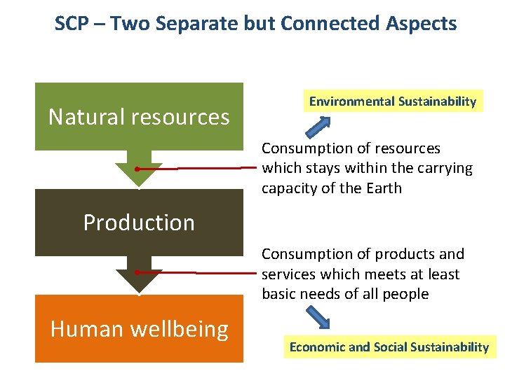SCP – Two Separate but Connected Aspects Natural resources Environmental Sustainability Consumption of resources