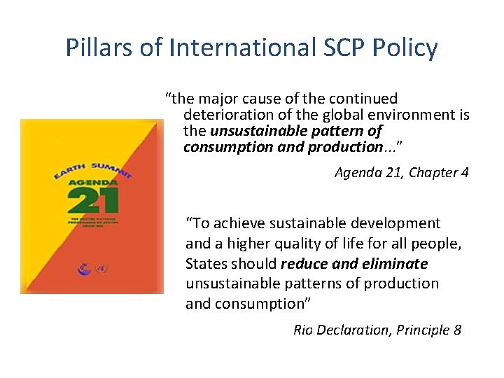 Pillars of International SCP Policy “the major cause of the continued deterioration of the