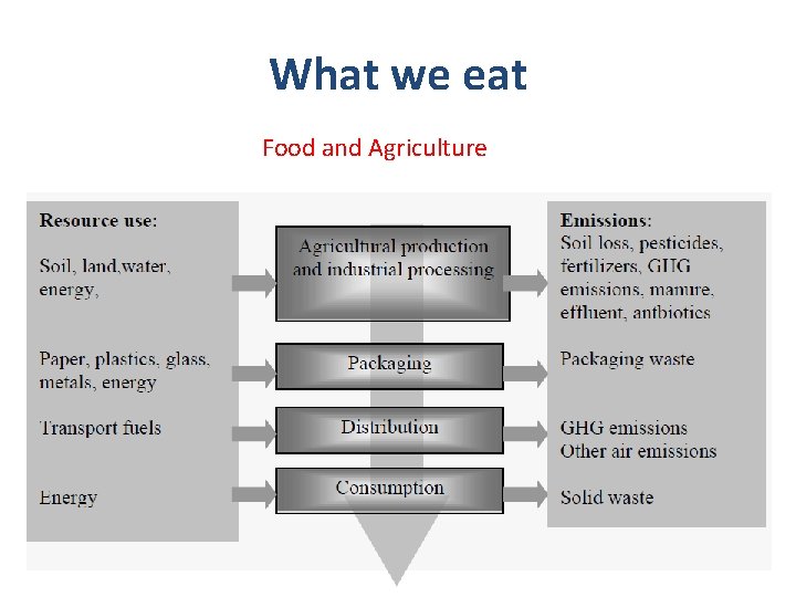 What we eat Food and Agriculture 