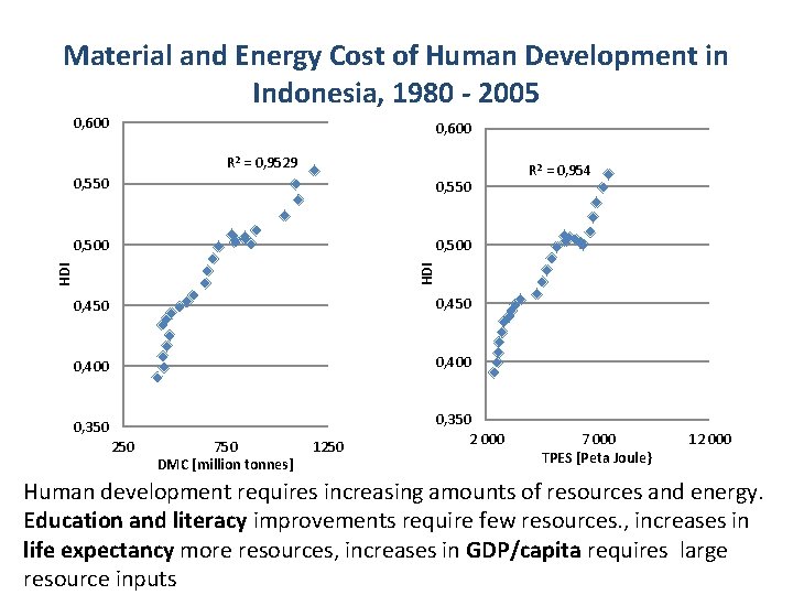 Material and Energy Cost of Human Development in Indonesia, 1980 - 2005 0, 600