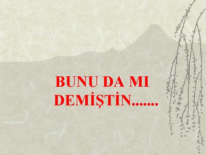 BUNU DA MI DEMİŞTİN. . . . 