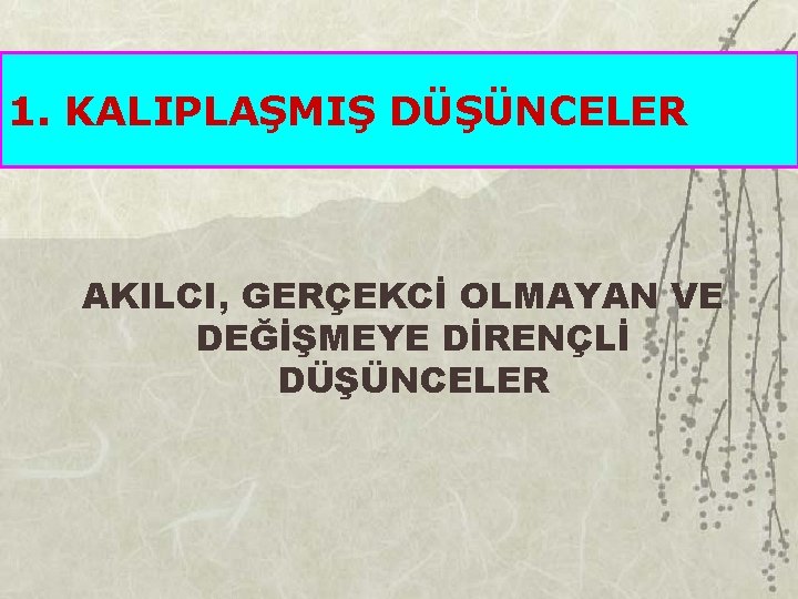 1. KALIPLAŞMIŞ DÜŞÜNCELER AKILCI, GERÇEKCİ OLMAYAN VE DEĞİŞMEYE DİRENÇLİ DÜŞÜNCELER 