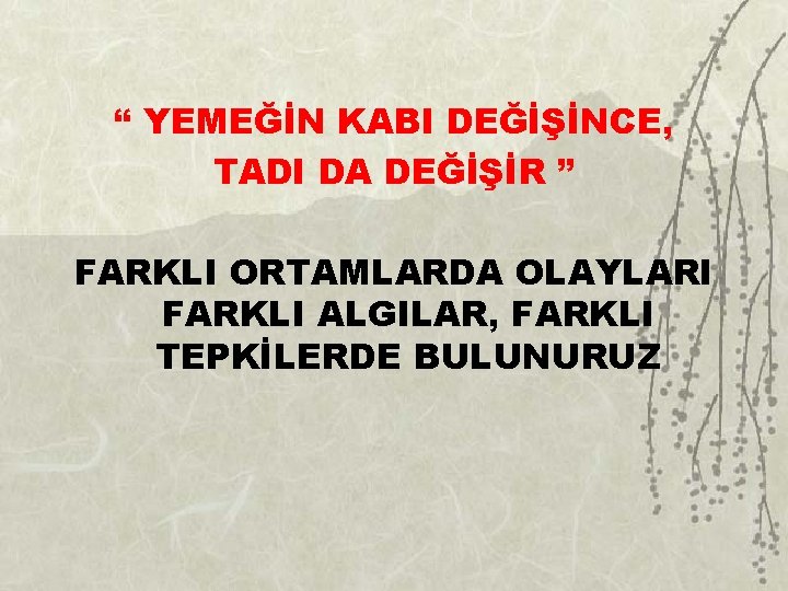 “ YEMEĞİN KABI DEĞİŞİNCE, TADI DA DEĞİŞİR ” FARKLI ORTAMLARDA OLAYLARI FARKLI ALGILAR, FARKLI