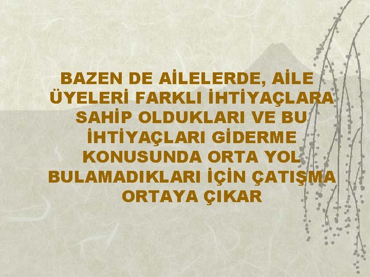 BAZEN DE AİLELERDE, AİLE ÜYELERİ FARKLI İHTİYAÇLARA SAHİP OLDUKLARI VE BU İHTİYAÇLARI GİDERME KONUSUNDA