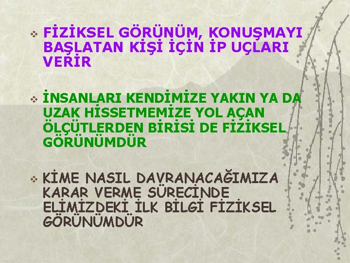 v v v FİZİKSEL GÖRÜNÜM, KONUŞMAYI BAŞLATAN KİŞİ İÇİN İP UÇLARI VERİR İNSANLARI KENDİMİZE