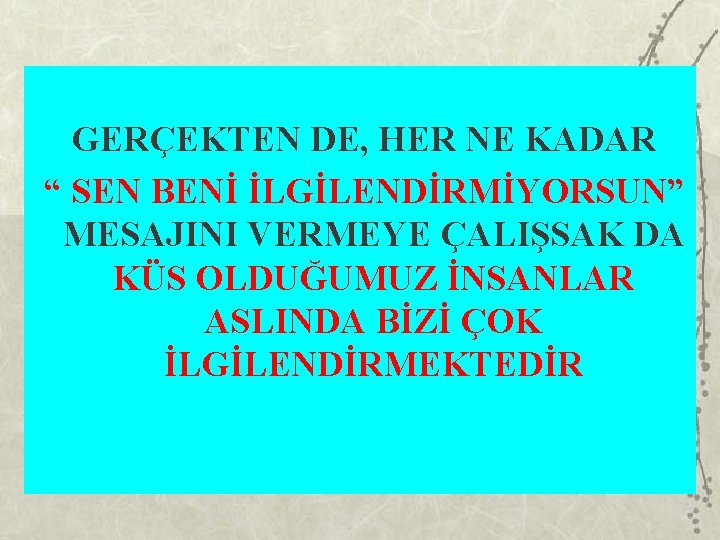 GERÇEKTEN DE, HER NE KADAR “ SEN BENİ İLGİLENDİRMİYORSUN” MESAJINI VERMEYE ÇALIŞSAK DA KÜS