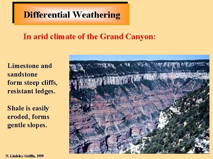 Differential Weathering In arid climate of the Grand Canyon: Limestone and sandstone form steep