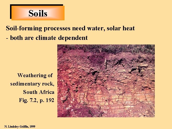 Soils Soil-forming processes need water, solar heat - both are climate dependent Weathering of