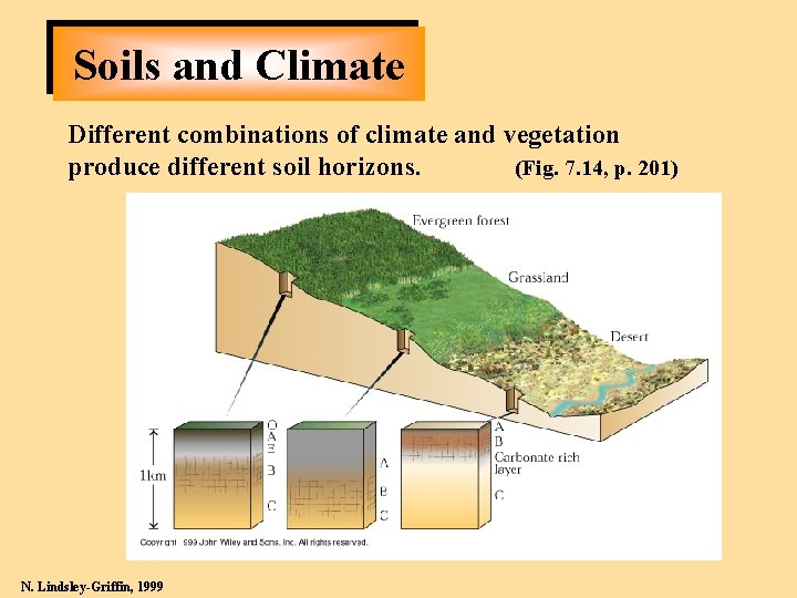 Soils and Climate Different combinations of climate and vegetation produce different soil horizons. (Fig.