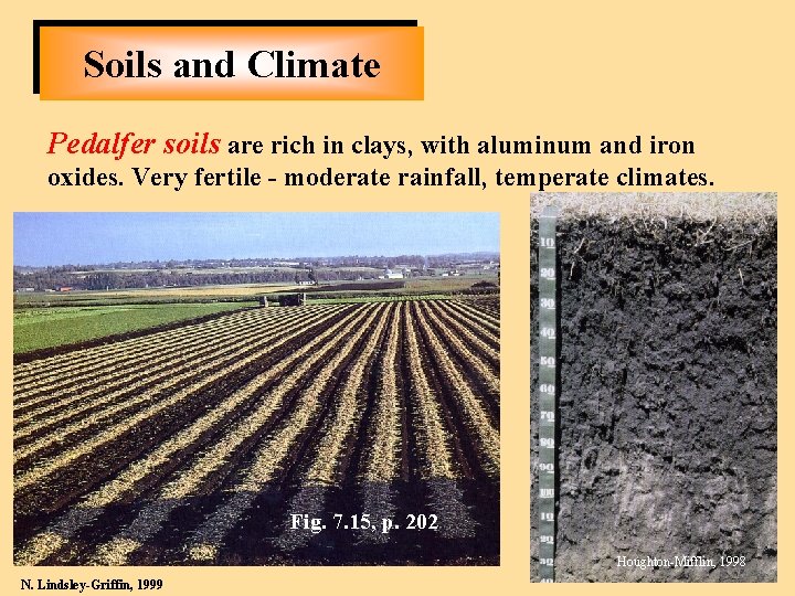 Soils and Climate Pedalfer soils are rich in clays, with aluminum and iron oxides.
