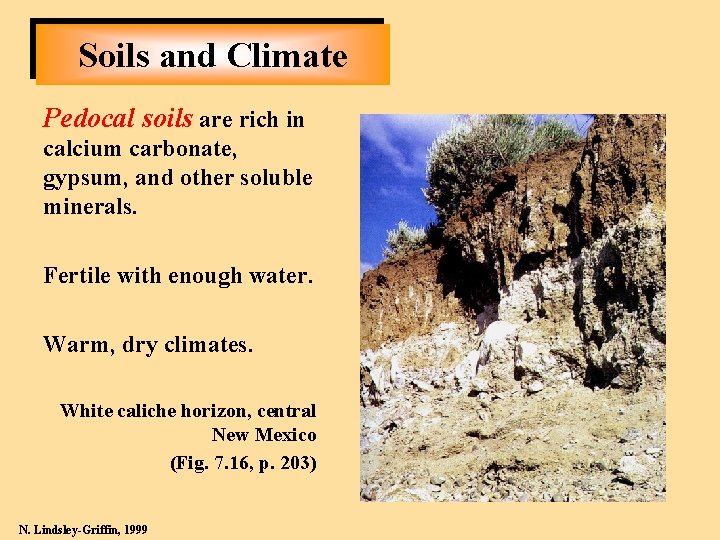 Soils and Climate Pedocal soils are rich in calcium carbonate, gypsum, and other soluble