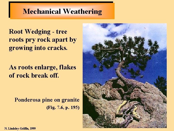 Weathering and Soils GEOLOGY TODAY Chapter 7 Barbara