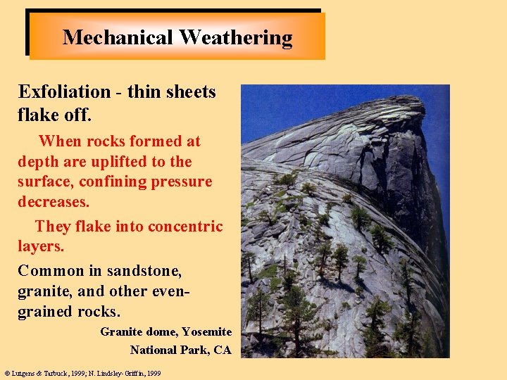 Mechanical Weathering Exfoliation - thin sheets flake off. When rocks formed at depth are