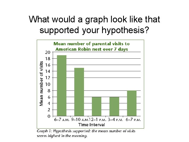 What would a graph look like that supported your hypothesis? 