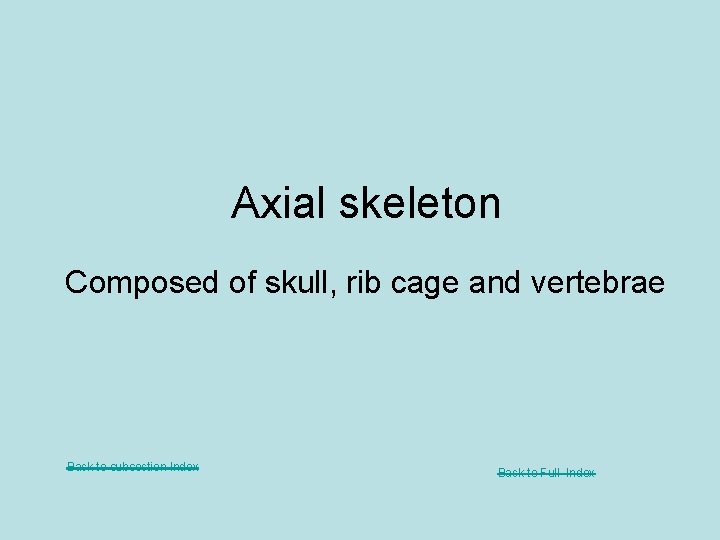 Axial skeleton Composed of skull, rib cage and vertebrae Back to subsection Index Back