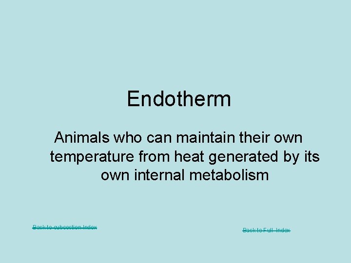 Endotherm Animals who can maintain their own temperature from heat generated by its own