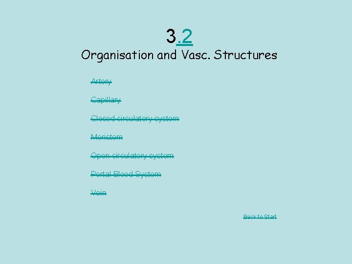 3. 2 Organisation and Vasc. Structures Artery Capillary Closed circulatory system Meristem Open circulatory