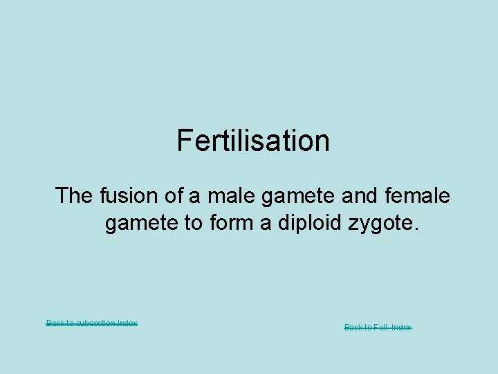 Fertilisation The fusion of a male gamete and female gamete to form a diploid