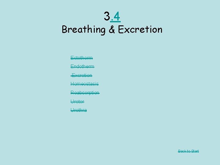 3. 4 Breathing & Excretion Ectotherm Endotherm Excretion Homeostasis Reabsorption Ureter Urethra Back to