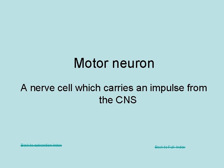 Motor neuron A nerve cell which carries an impulse from the CNS Back to