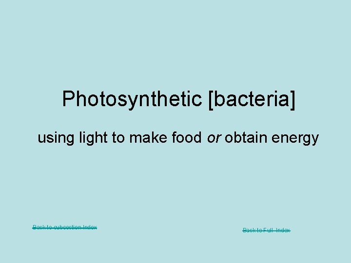 Photosynthetic [bacteria] using light to make food or obtain energy Back to subsection Index