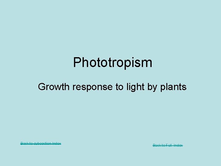 Phototropism Growth response to light by plants Back to subsection Index Back to Full