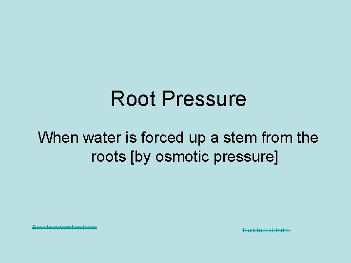 Root Pressure When water is forced up a stem from the roots [by osmotic