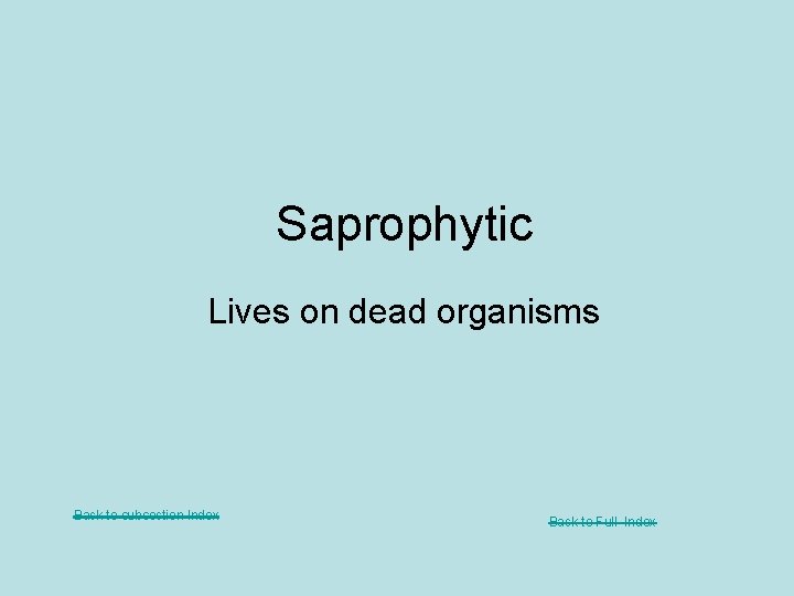 Saprophytic Lives on dead organisms Back to subsection Index Back to Full Index 