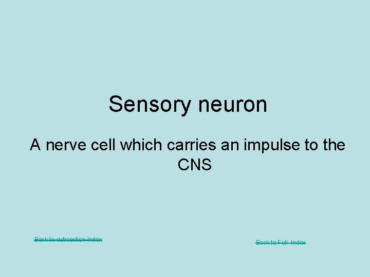 Sensory neuron A nerve cell which carries an impulse to the CNS Back to