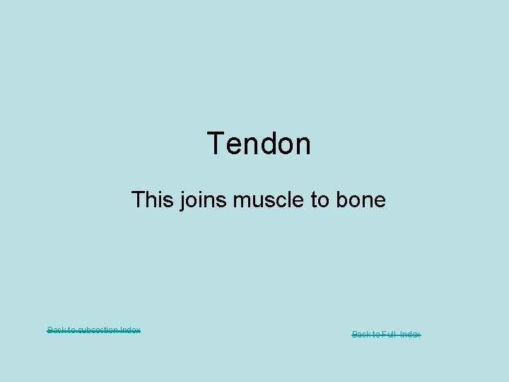 Tendon This joins muscle to bone Back to subsection Index Back to Full Index