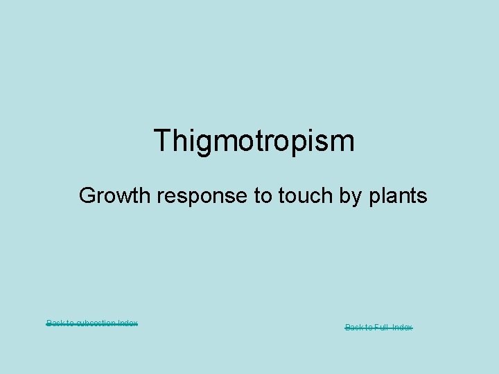 Thigmotropism Growth response to touch by plants Back to subsection Index Back to Full