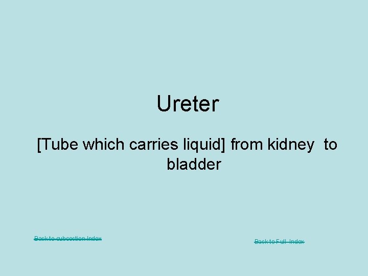 Ureter [Tube which carries liquid] from kidney to bladder Back to subsection Index Back