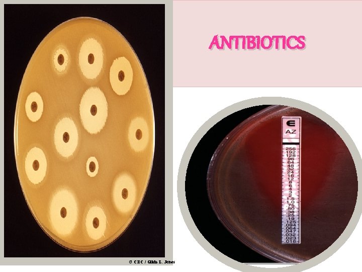 ANTIBIOTICS © CDC / Gilda L. Jones 