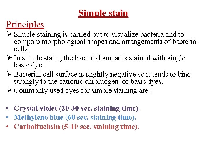 Simple stain Principles Ø Simple staining is carried out to visualize bacteria and to