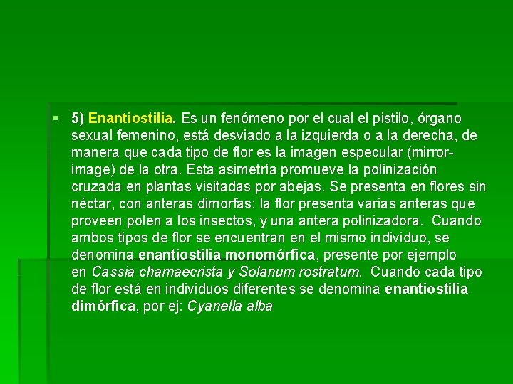 § 5) Enantiostilia. Es un fenómeno por el cual el pistilo, órgano sexual femenino,