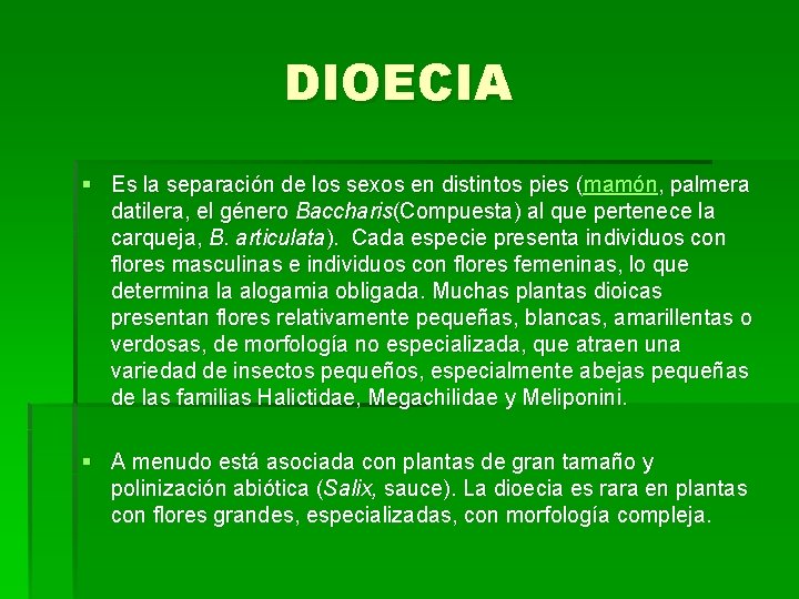 DIOECIA § Es la separación de los sexos en distintos pies (mamón, palmera datilera,