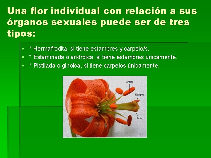 Una flor individual con relación a sus órganos sexuales puede ser de tres tipos: