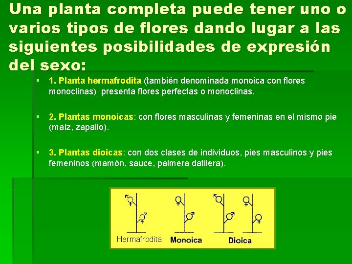 Una planta completa puede tener uno o varios tipos de flores dando lugar a