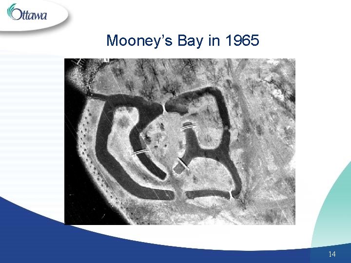 Mooney’s Bay in 1965 14 