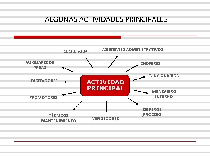 ALGUNAS ACTIVIDADES PRINCIPALES SECRETARIA ASISTENTES ADMINISTRATIVOS AUXILIARES DE ÁREAS DIGITADORES CHOFERES FUNCIONARIOS ACTIVIDAD PRINCIPAL