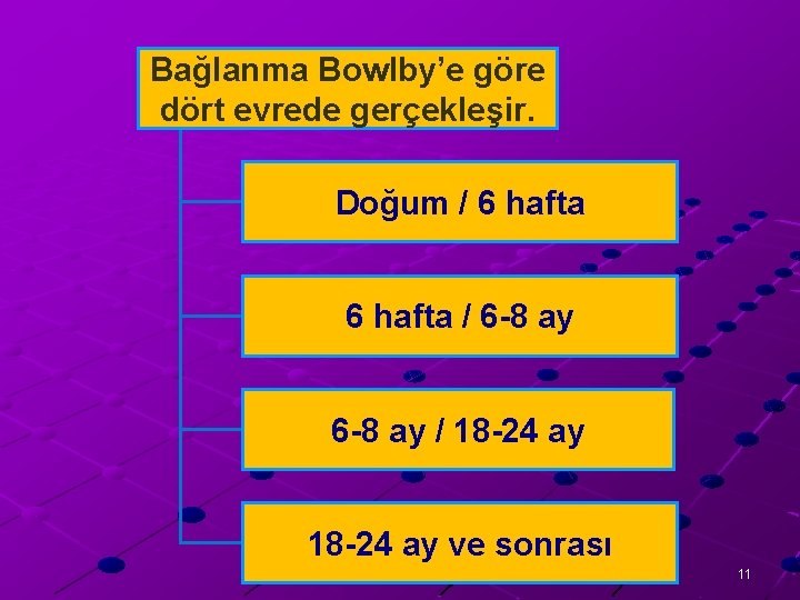 Bağlanma Bowlby’e göre dört evrede gerçekleşir. Doğum / 6 hafta / 6 -8 ay