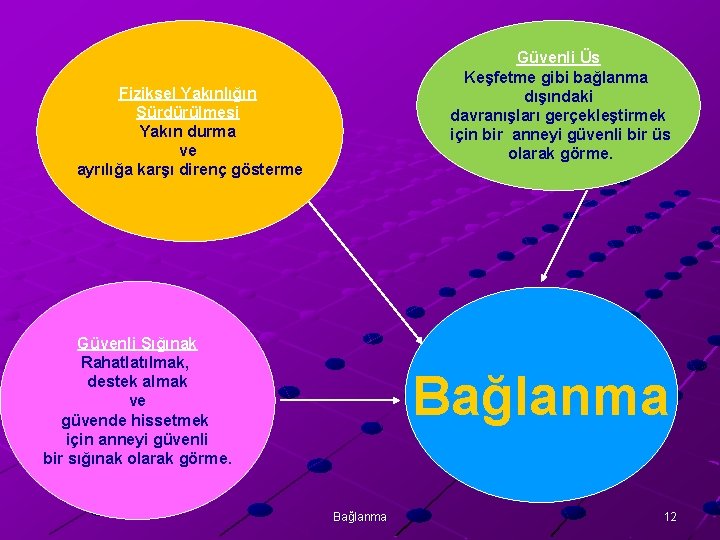 Güvenli Üs Keşfetme gibi bağlanma dışındaki davranışları gerçekleştirmek için bir anneyi güvenli bir üs