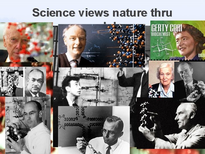 Science views nature thru models 