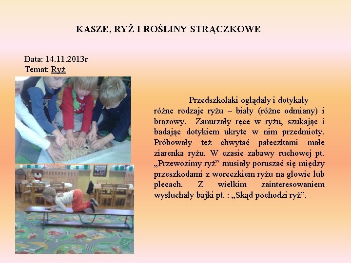 KASZE, RYŻ I ROŚLINY STRĄCZKOWE Data: 14. 11. 2013 r Temat: Ryż Przedszkolaki oglądały