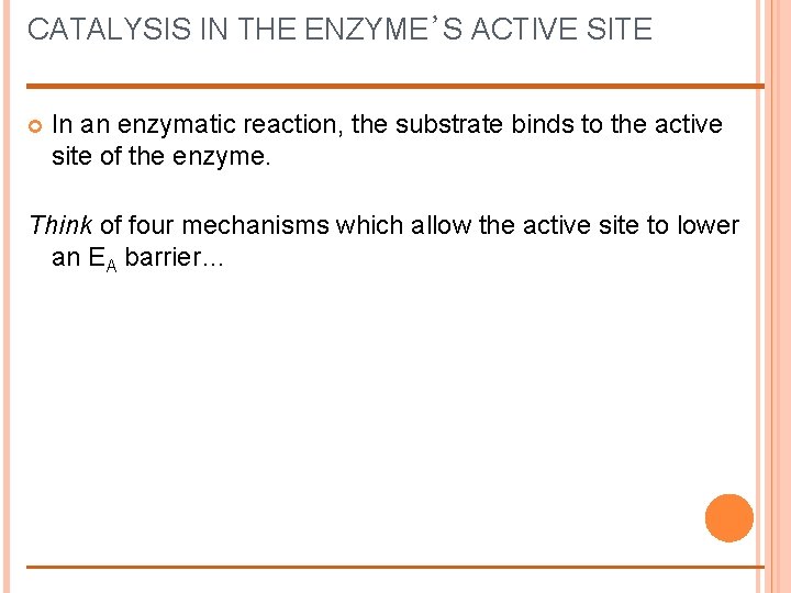 CATALYSIS IN THE ENZYME’S ACTIVE SITE In an enzymatic reaction, the substrate binds to