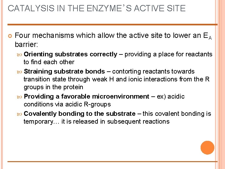 CATALYSIS IN THE ENZYME’S ACTIVE SITE Four mechanisms which allow the active site to