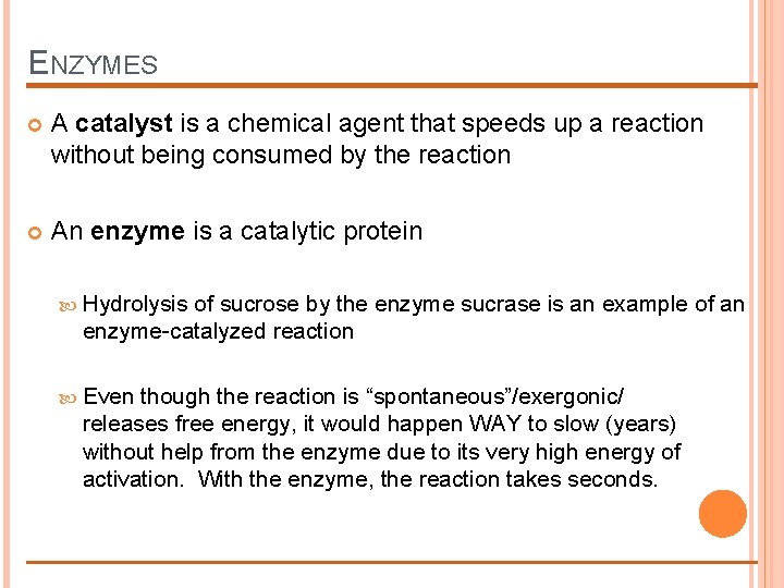 ENZYMES A catalyst is a chemical agent that speeds up a reaction without being