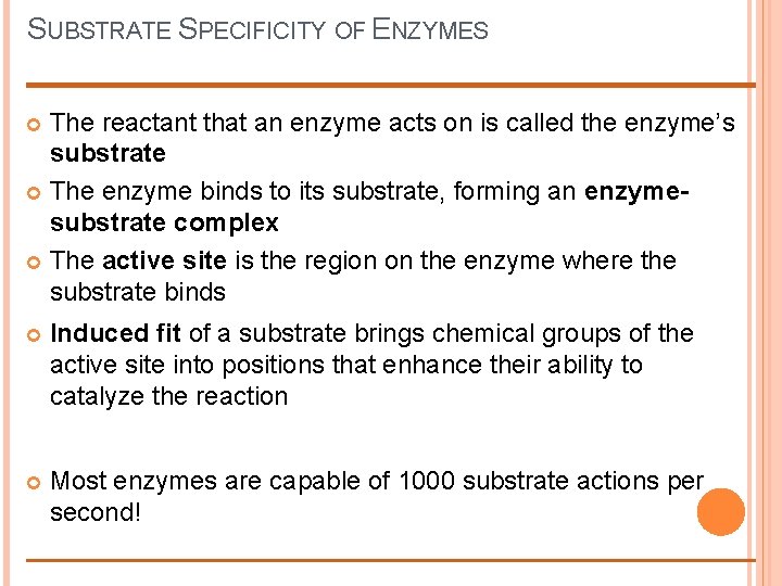 SUBSTRATE SPECIFICITY OF ENZYMES The reactant that an enzyme acts on is called the