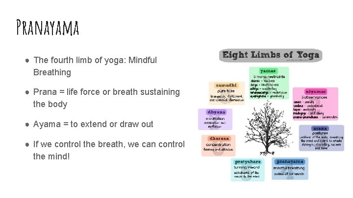 Pranayama ● The fourth limb of yoga: Mindful Breathing ● Prana = life force