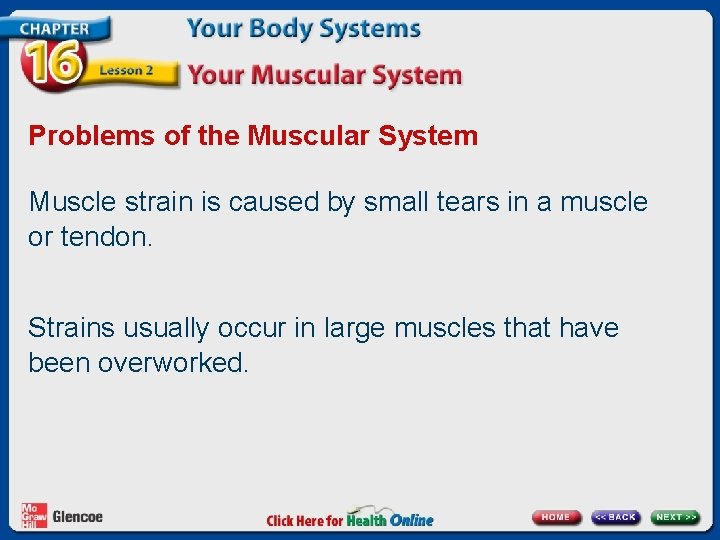 Problems of the Muscular System Muscle strain is caused by small tears in a